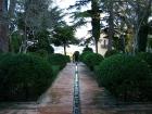 Paved Garden Path Water