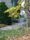 Autumn Leaves Garden Path