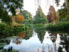 Water Garden View