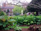 Chelsea Physic Garden2
