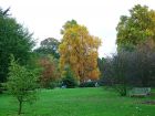 Autumn At Kew
