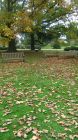 Autumn Garden Benches