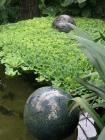 Glass Marble Ball Pond
