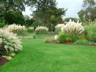 Kew Grasses Garden