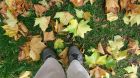 Leafy Feet