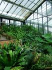 Moist Tropics Conservatory