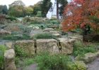 Rock Garden Autumn