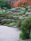 Rock Garden Autumn001