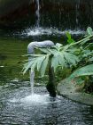 Running Water Feature