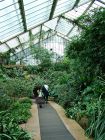 Tropical Conservatory Path