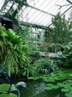 Tropical Conservatory3