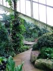 Tropical Conservatory4