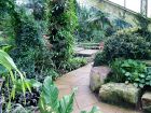 Tropical Conservatory5