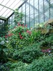 Tropical Conservatory6