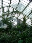 Tropical Conservatory7