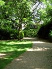 Dappled Sun Path