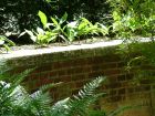 Fern Brick Wall