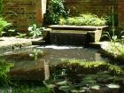 Sunny Water Feature Pond