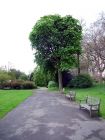 Middle Ranelagh Garden Seat