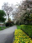 North Ranelagh Way Spring