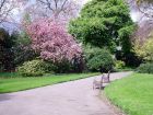 Twin Garden Seats Sunshine