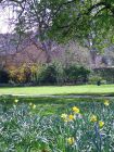 Spring Church Yard