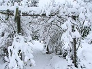 Garden Pergola Snow