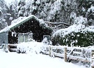 Garden Sleepout Snow