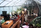 Glasshouse Messy Pots