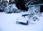 Snow Garden Seat