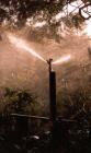 Summer Garden Water Sprinklers Henhouse