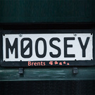 Number Plate Moosey